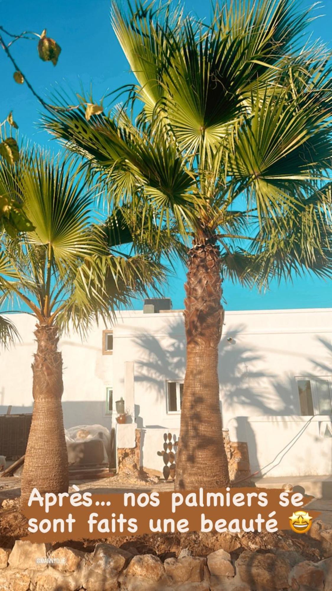 Pechão La Quinta Da Liberdade - Ferme De Charme En Algarveヴィラ エクステリア 写真