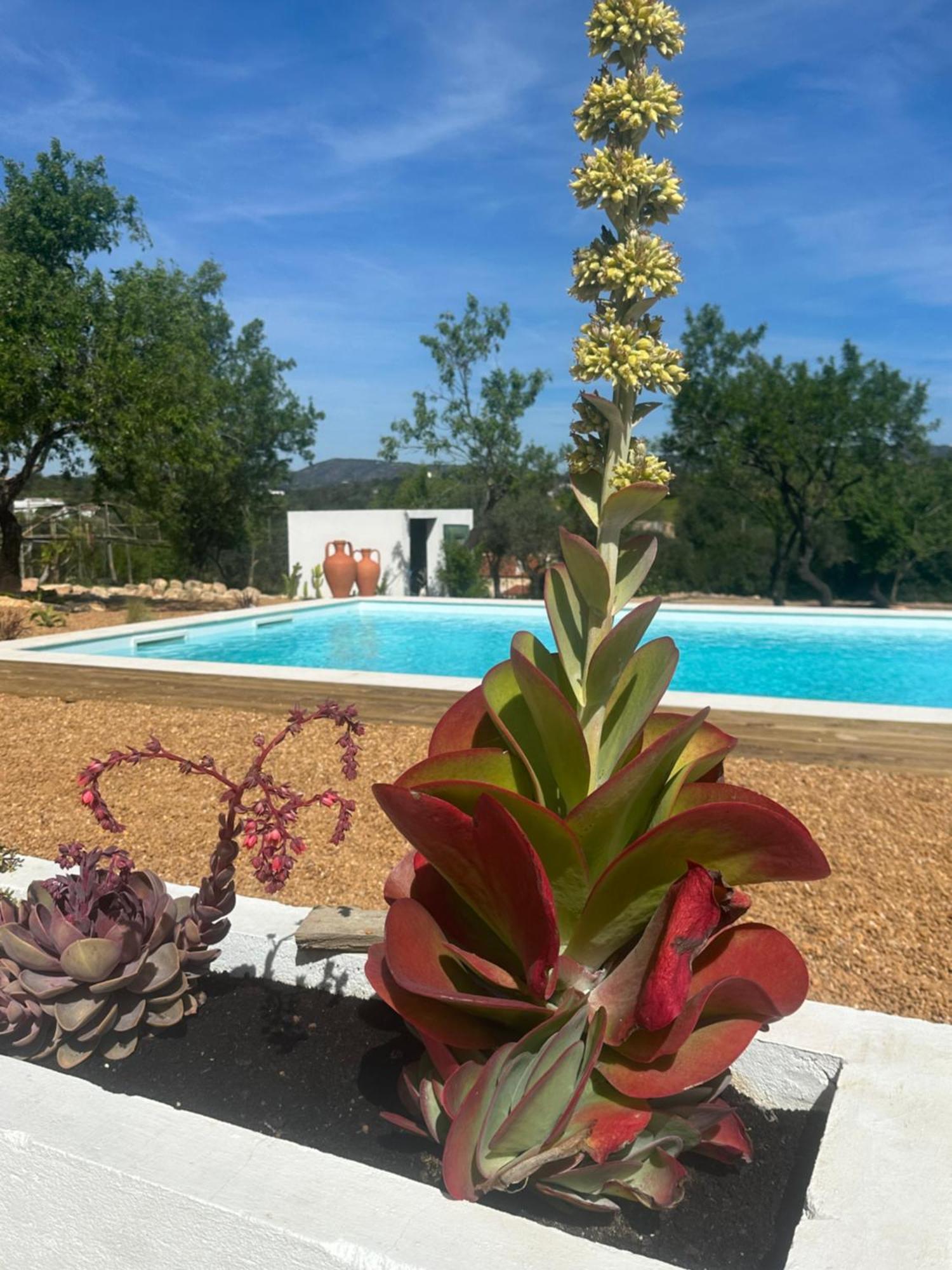 Pechão La Quinta Da Liberdade - Ferme De Charme En Algarveヴィラ エクステリア 写真