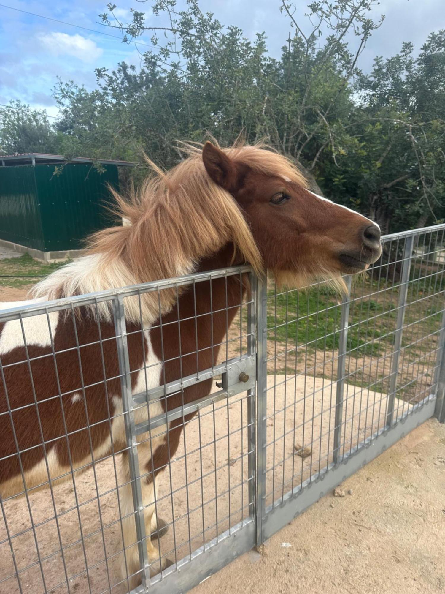 Pechão La Quinta Da Liberdade - Ferme De Charme En Algarveヴィラ エクステリア 写真