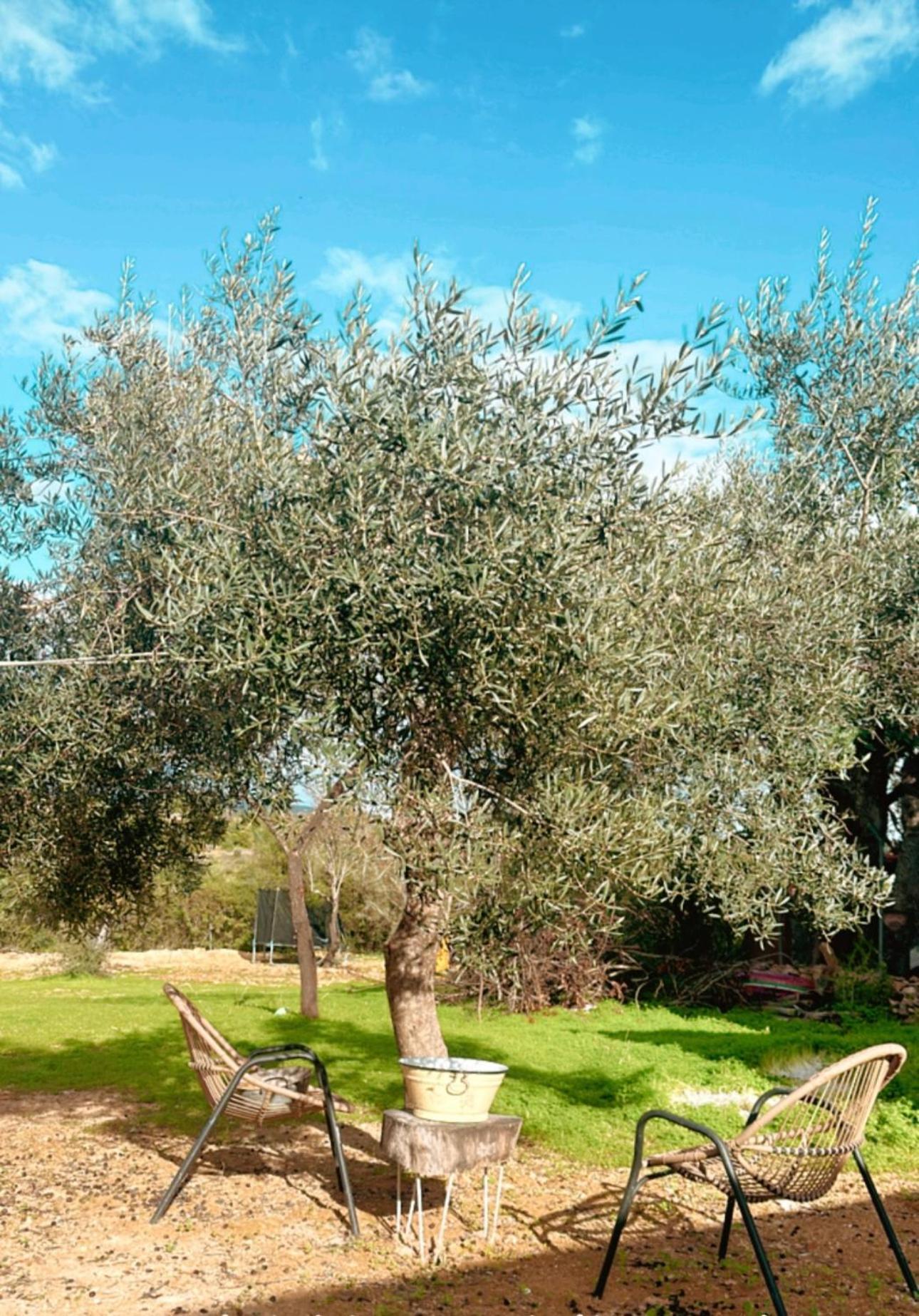 Pechão La Quinta Da Liberdade - Ferme De Charme En Algarveヴィラ エクステリア 写真