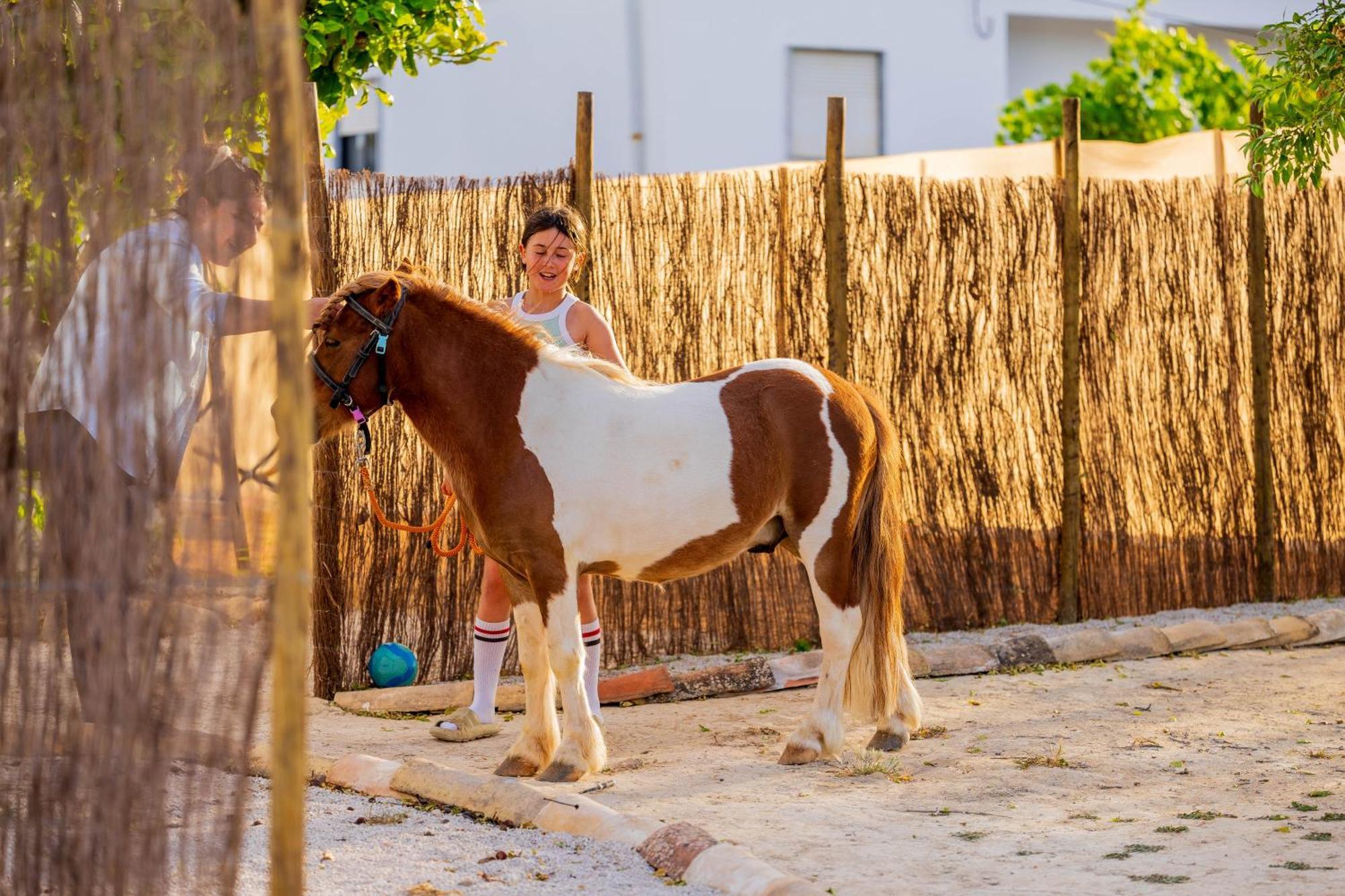 Pechão La Quinta Da Liberdade - Ferme De Charme En Algarveヴィラ エクステリア 写真