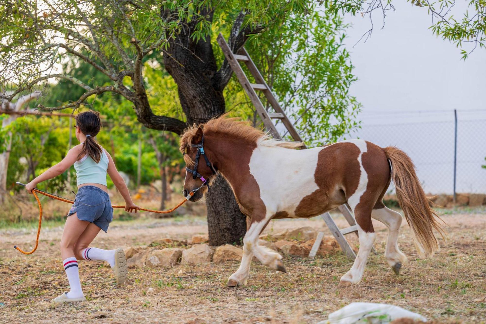 Pechão La Quinta Da Liberdade - Ferme De Charme En Algarveヴィラ エクステリア 写真