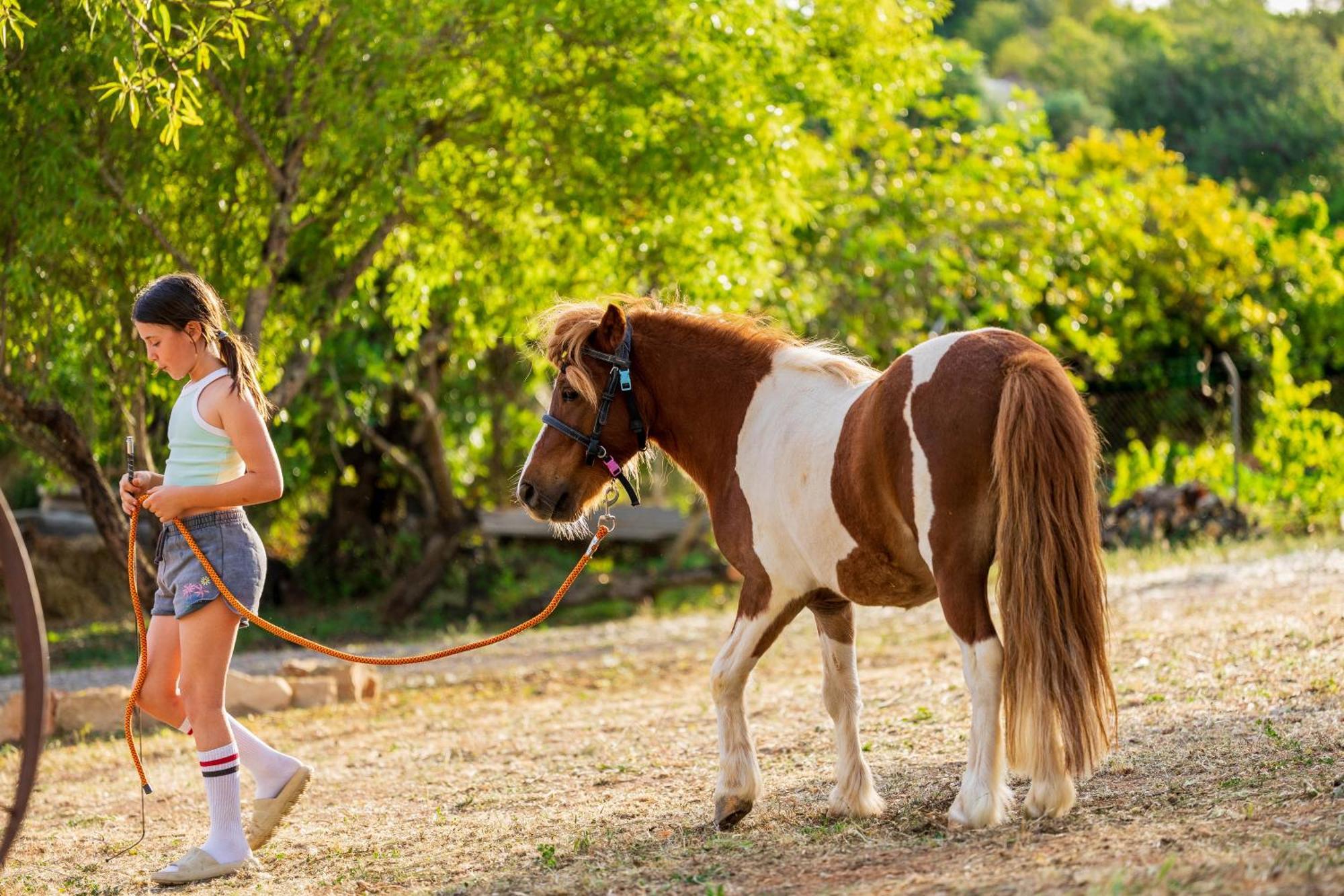 Pechão La Quinta Da Liberdade - Ferme De Charme En Algarveヴィラ エクステリア 写真